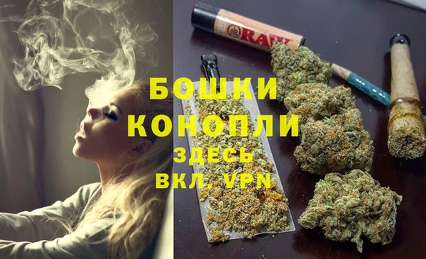 прущие грибы Майский