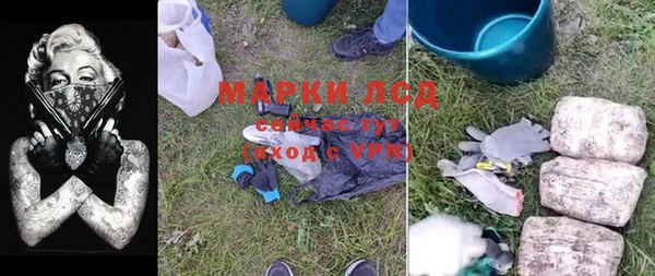 твердый Магас