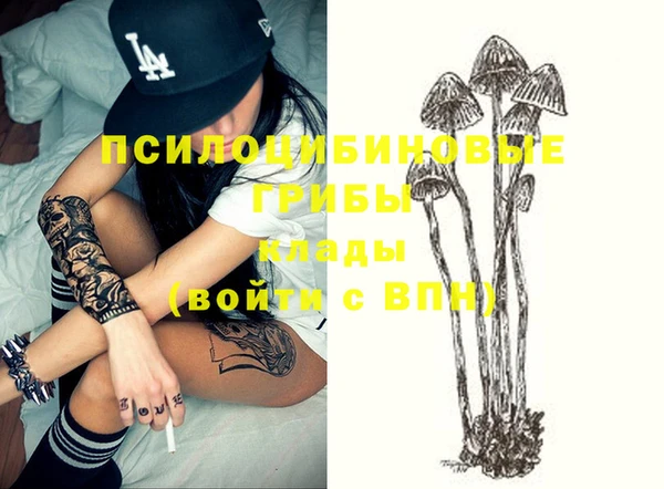 прущие грибы Майский