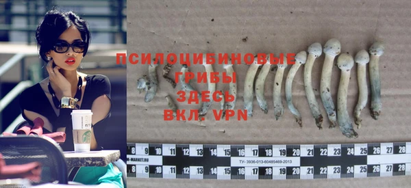 apvp Медвежьегорск